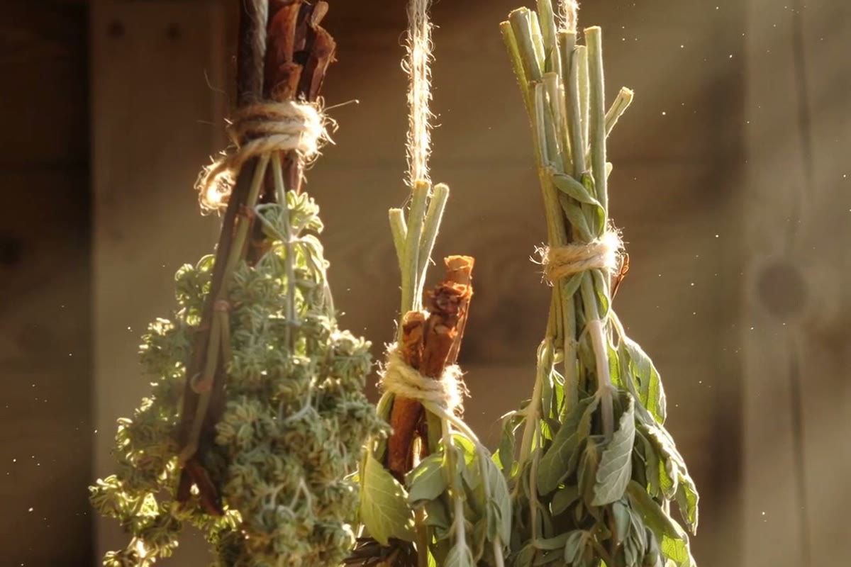 Bundles of dried herbs hanging to dry in warm sunlight