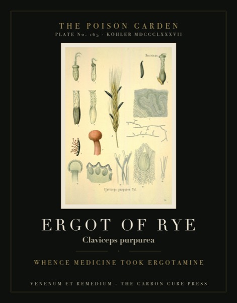 Ergot of Rye (Claviceps purpurea) — Poison Garden botanical poster, Köhler 1887 plate 165