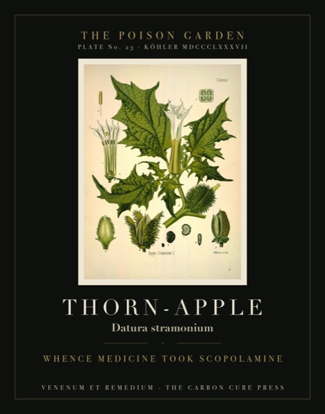Thorn-Apple (Datura stramonium) — Poison Garden botanical poster, Köhler 1887 plate 23