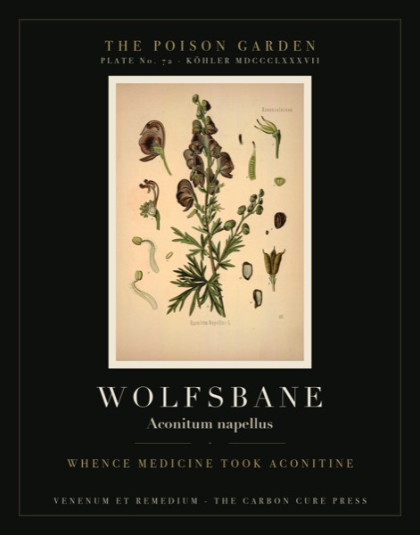 Wolfsbane (Aconitum napellus) — Poison Garden botanical poster, Köhler 1887 plate 72